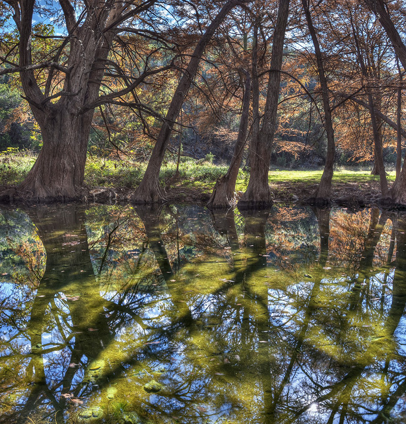 Shawn Gray - Frio Canyon Real Estate