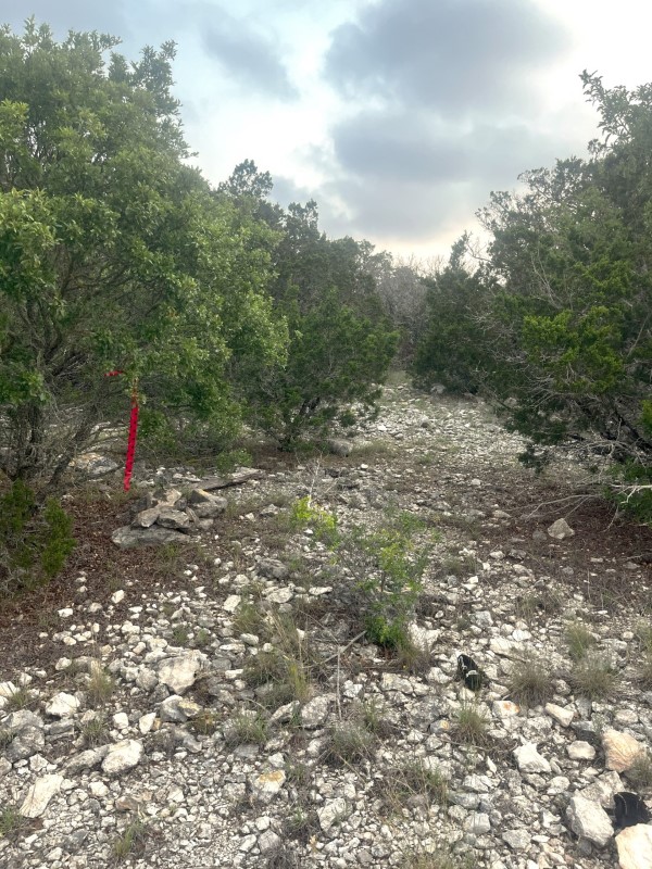 Shawn Gray - Frio Canyon Real Estate